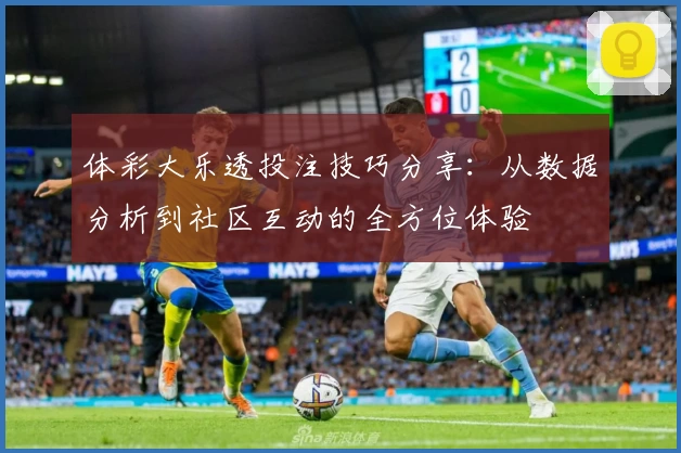 体彩大乐透投注技巧分享：从数据分析到社区互动的全方位体验
