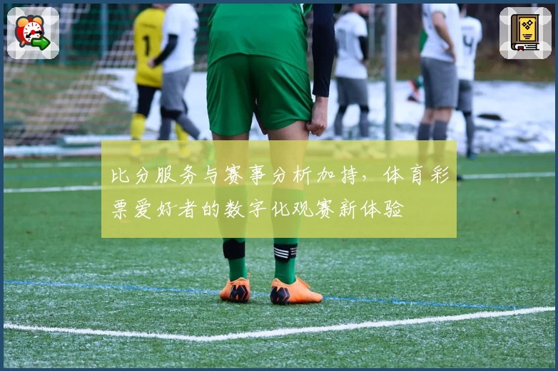 比分服务与赛事分析加持，体育彩票爱好者的数字化观赛新体验