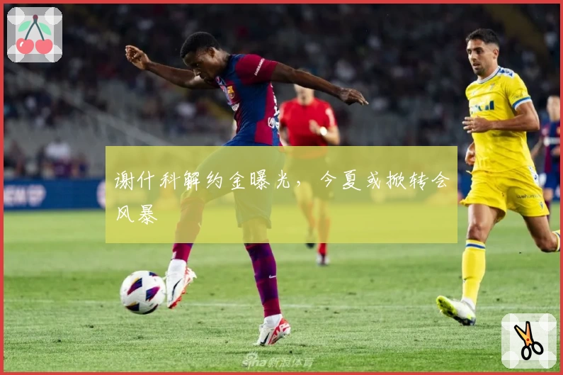 谢什科解约金曝光,今夏或掀转会风暴